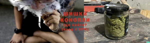 стафф Богородск