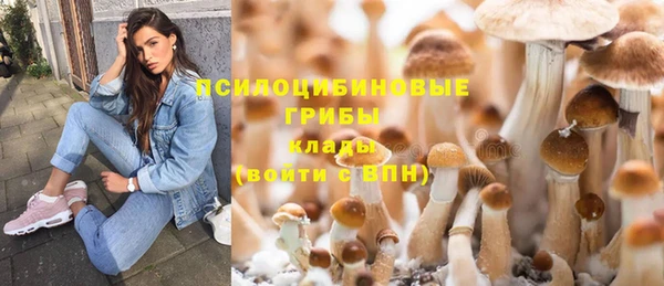 хмурый Богданович