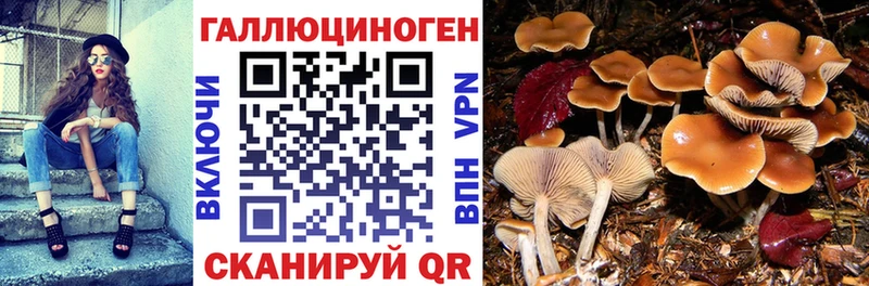 Псилоцибиновые грибы ЛСД  Новый Уренгой 